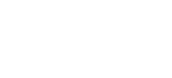 nmt-logo
